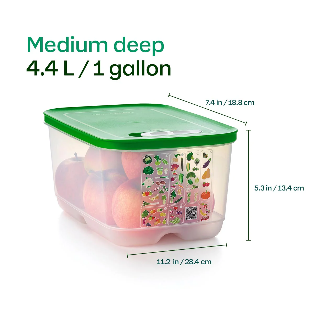 Tupperware® FridgeSmart® 4-Piece Starter Set | Food Storage Containers - Image 11
