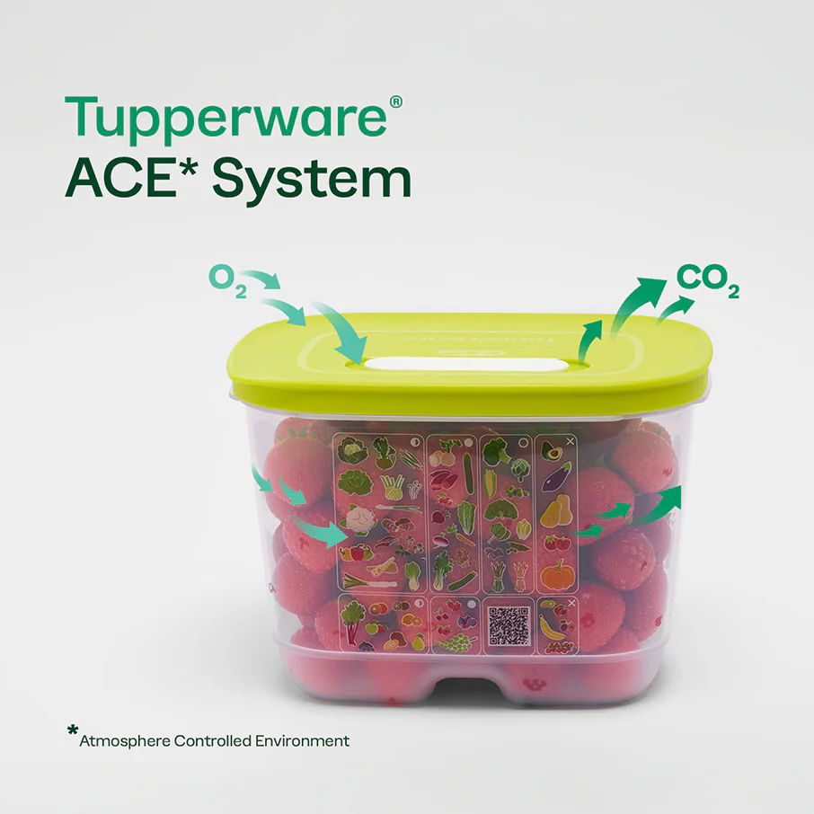 Tupperware® FridgeSmart® Medium Deep | Produce Storage Container With Lid - Image 3